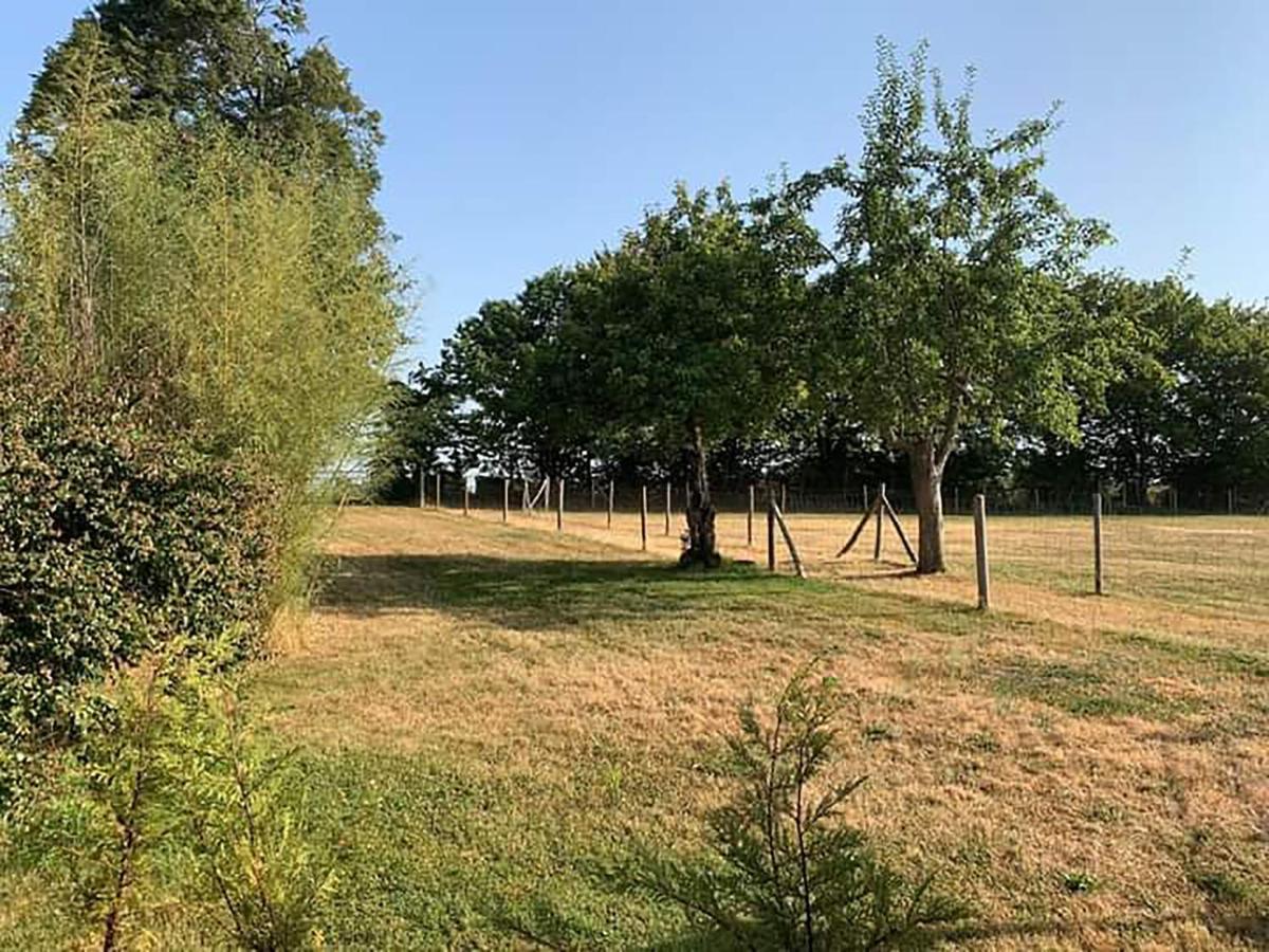 The Alpaca B&B Chalais  Екстериор снимка